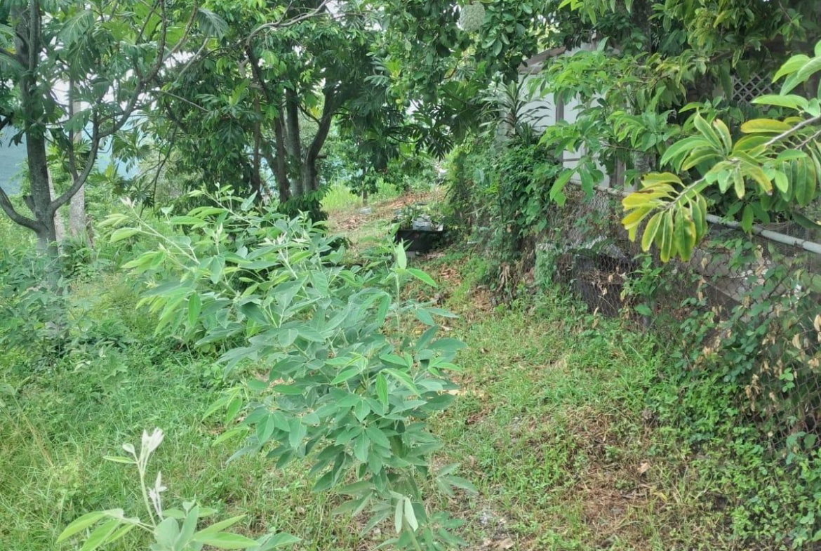 Fourteenth image of Lot 2a2b2c-skyline dr Jacks Hill in Jacks Hill, St. Andrew, Jamaica - property is For Sale
