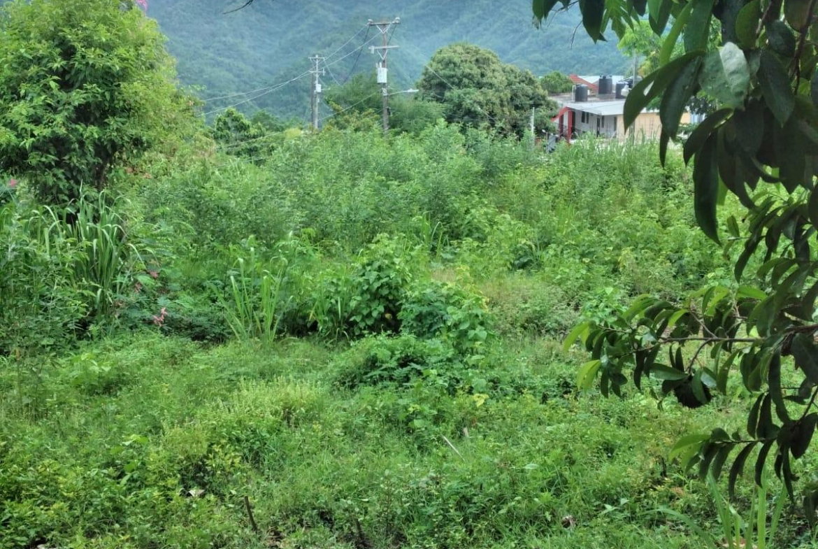 Fifteenth image of Lot 2a2b2c-skyline dr Jacks Hill in Jacks Hill, St. Andrew, Jamaica - property is For Sale