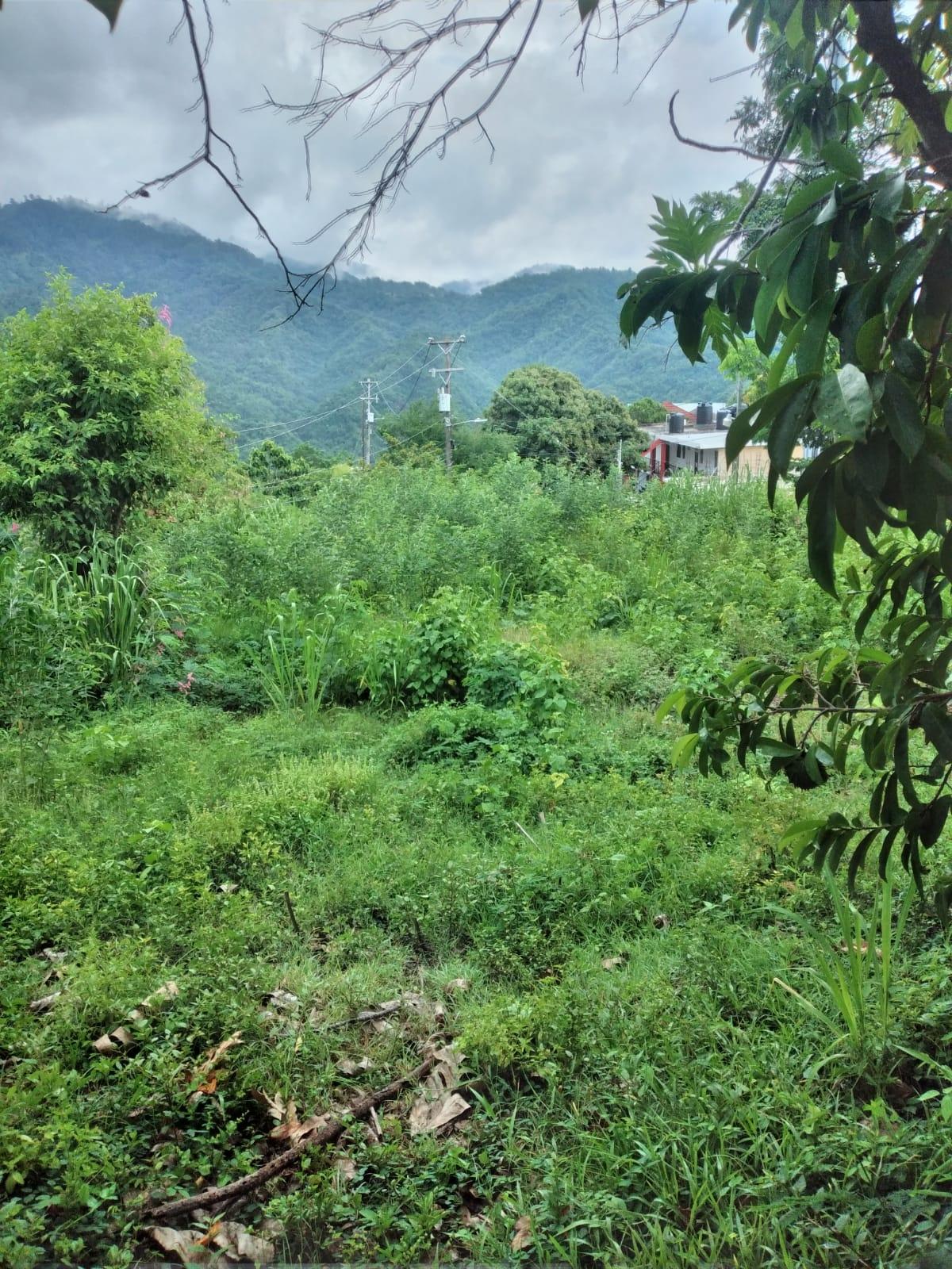 Fifteenth image of Lot 2a2b2c-skyline dr Jacks Hill in Jacks Hill, St. Andrew, Jamaica - property is For Sale