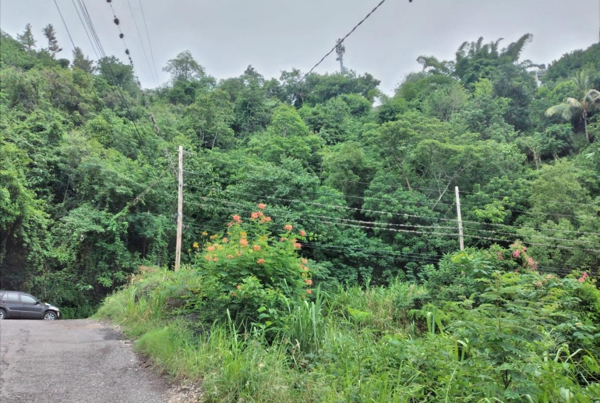 Third image of Lot 2a2b2c-skyline dr Jacks Hill in Jacks Hill, St. Andrew, Jamaica - property is For Sale