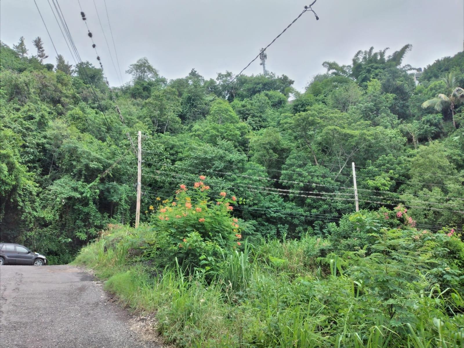 Third image of Lot 2a2b2c-skyline dr Jacks Hill in Jacks Hill, St. Andrew, Jamaica - property is For Sale