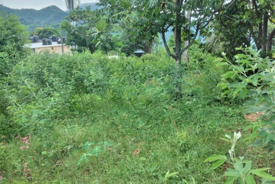 Fourth image of Lot 2a2b2c-skyline dr Jacks Hill in Jacks Hill, St. Andrew, Jamaica - property is For Sale