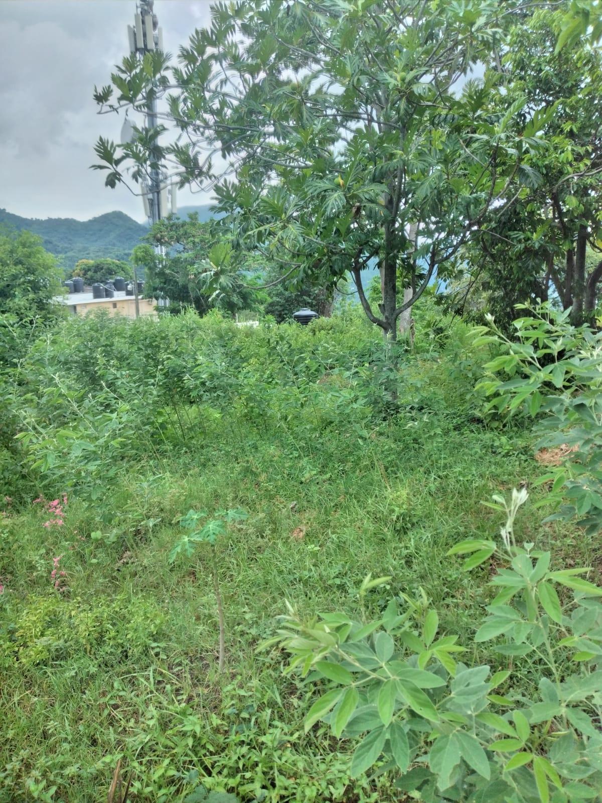 Fourth image of Lot 2a2b2c-skyline dr Jacks Hill in Jacks Hill, St. Andrew, Jamaica - property is For Sale