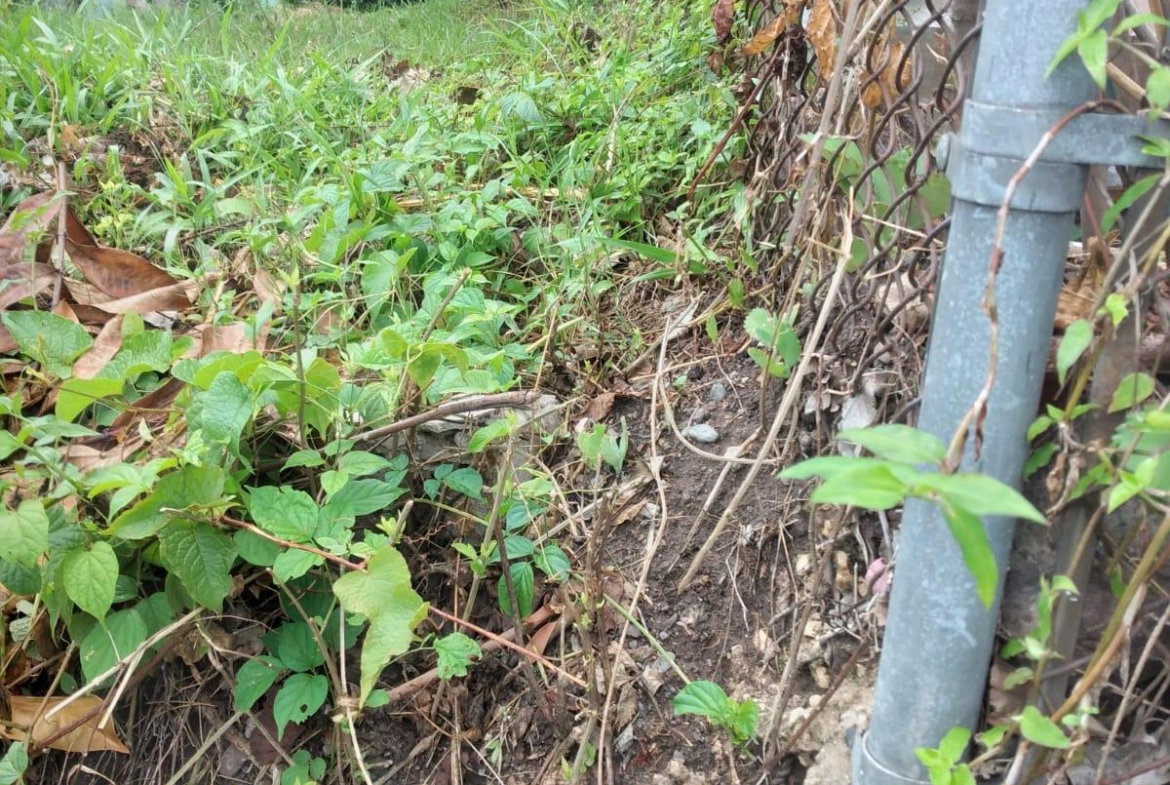 Seventh image of Lot 2a2b2c-skyline dr Jacks Hill in Jacks Hill, St. Andrew, Jamaica - property is For Sale