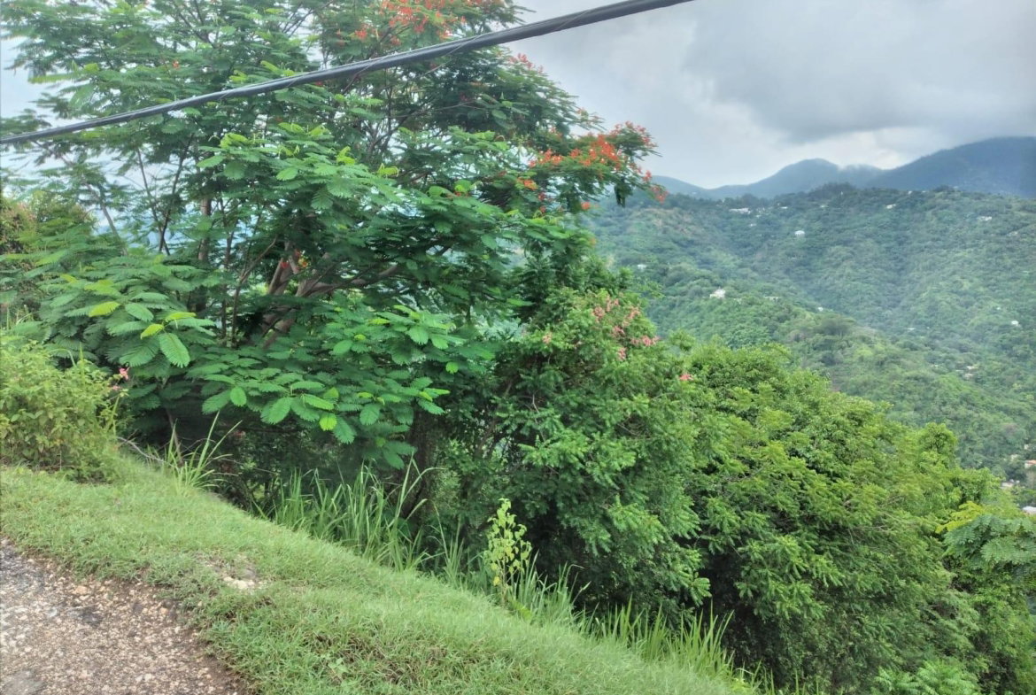 Eighth image of Lot 2a2b2c-skyline dr Jacks Hill in Jacks Hill, St. Andrew, Jamaica - property is For Sale