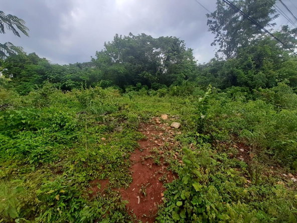 Second image of 36 Bellevue Drive in Kingston 19, St. Andrew, Jamaica - property is For Sale