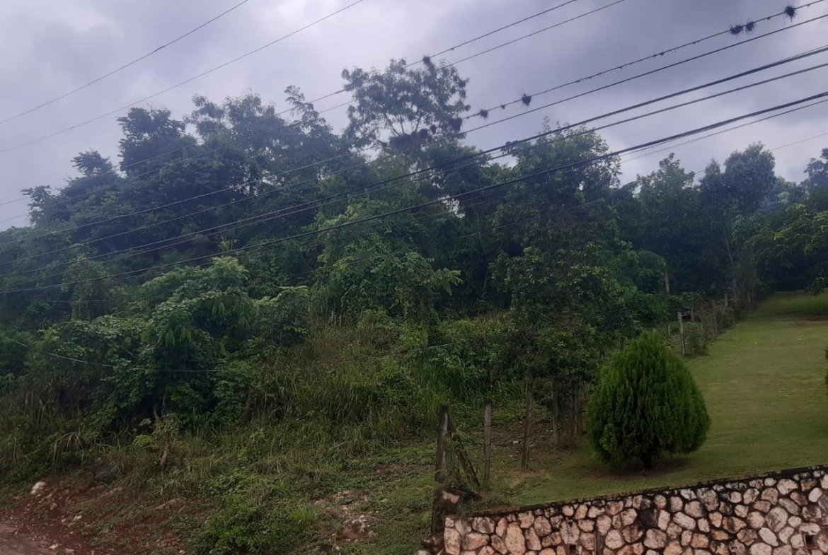 Sixth image of 36 Bellevue Drive in Kingston 19, St. Andrew, Jamaica - property is For Sale