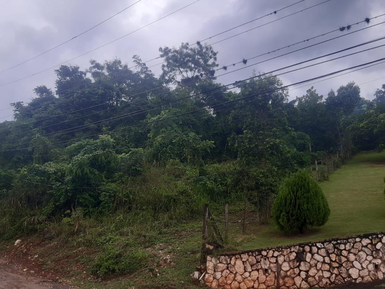 Sixth image of 36 Bellevue Drive in Kingston 19, St. Andrew, Jamaica - property is For Sale