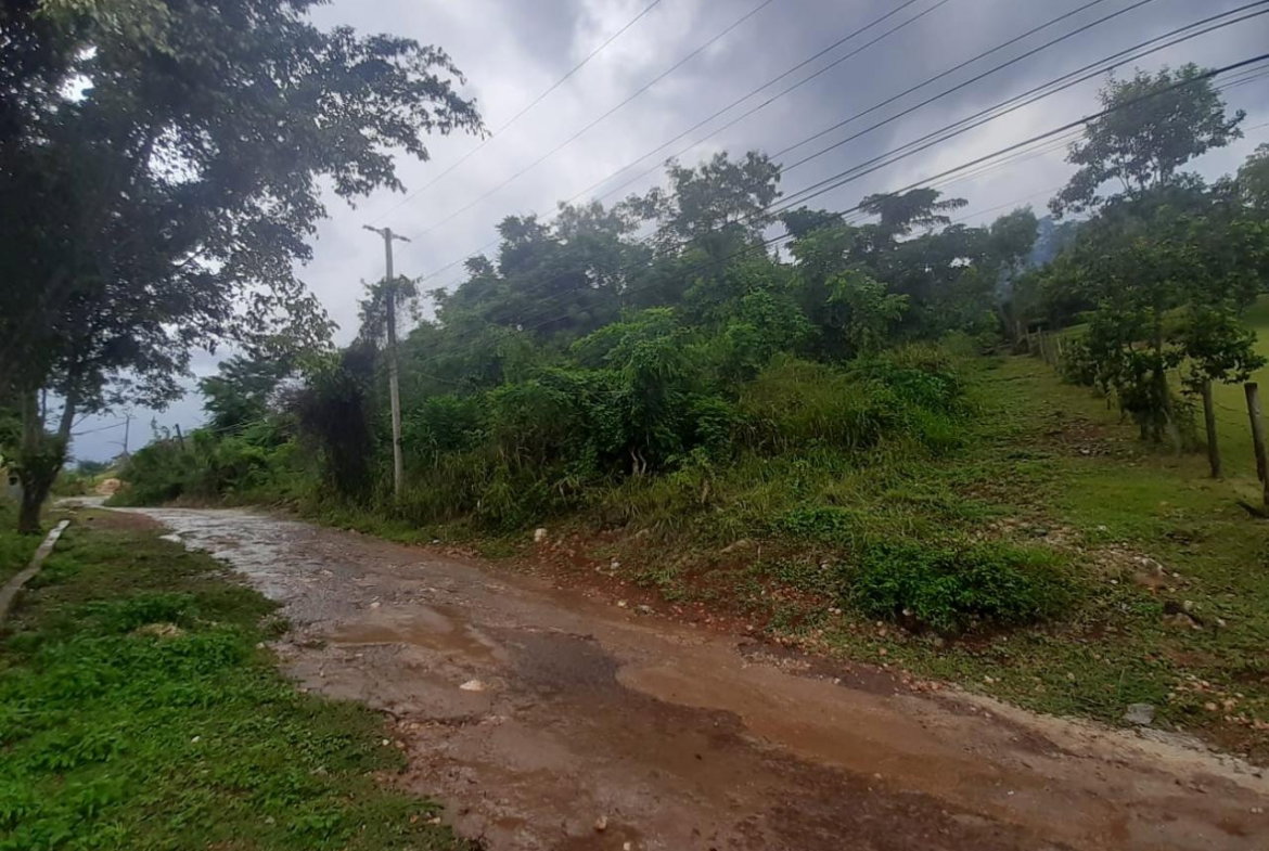 Seventh image of 36 Bellevue Drive in Kingston 19, St. Andrew, Jamaica - property is For Sale