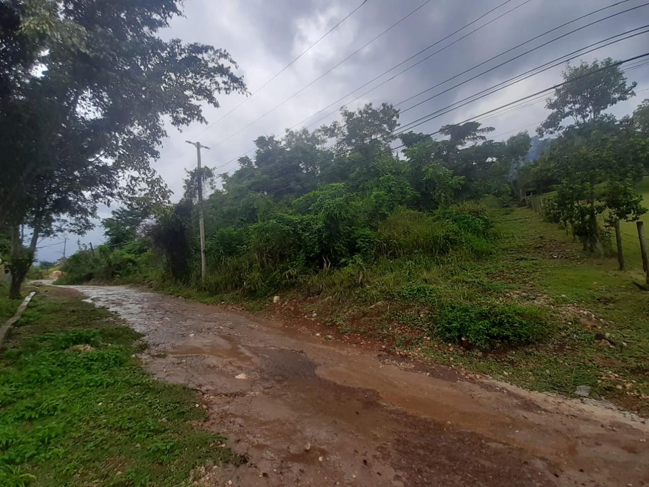 Seventh image of 36 Bellevue Drive in Kingston 19, St. Andrew, Jamaica - property is For Sale