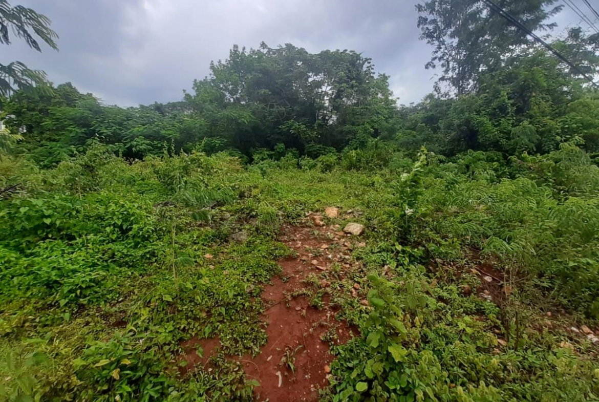 Eighth image of 36 Bellevue Drive in Kingston 19, St. Andrew, Jamaica - property is For Sale