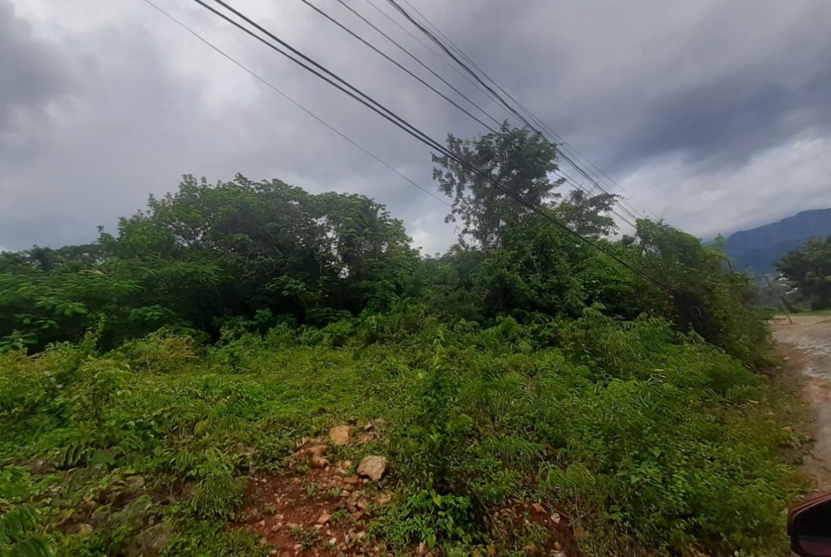 Ninth image of 36 Bellevue Drive in Kingston 19, St. Andrew, Jamaica - property is For Sale