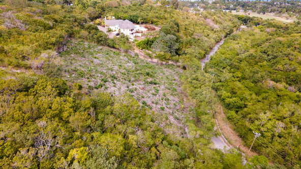Twelfth image of Highlands Spring Farms in Half Moon, St. James, Jamaica - property is For Sale