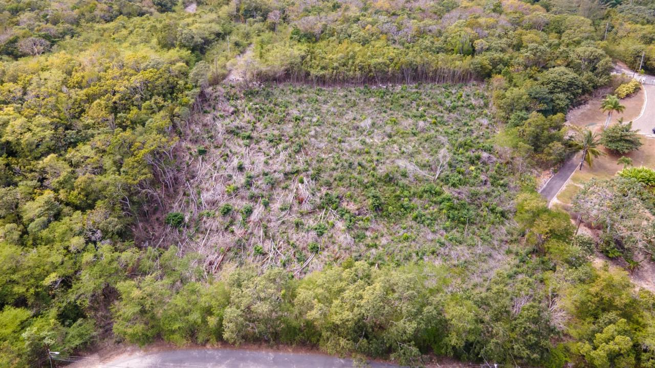Third image of Highlands Spring Farms in Half Moon, St. James, Jamaica - property is For Sale