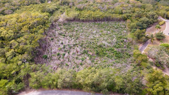 Third image of Highlands Spring Farms in Half Moon, St. James, Jamaica - property is For Sale