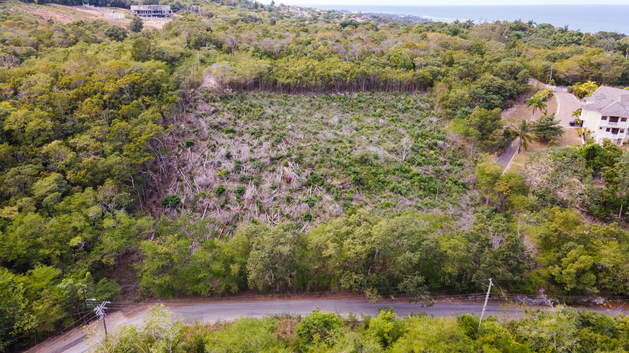 Sixth image of Highlands Spring Farms in Half Moon, St. James, Jamaica - property is For Sale