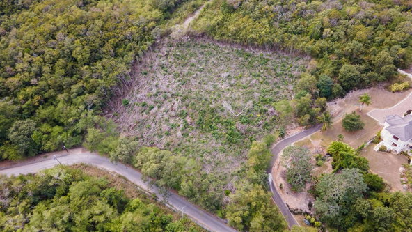 Tenth image of Highlands Spring Farms in Half Moon, St. James, Jamaica - property is For Sale