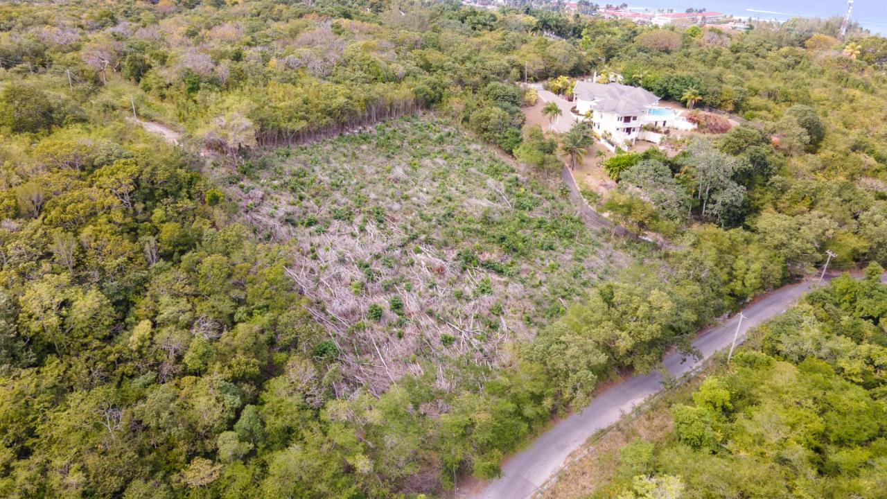 First image of Highlands Spring Farms in Half Moon, St. James, Jamaica - property is For Sale