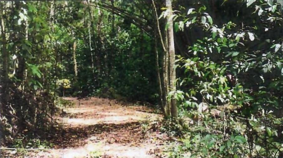 Third image of 1b Goshen in Goshen, St. Ann, Jamaica - property is For Sale