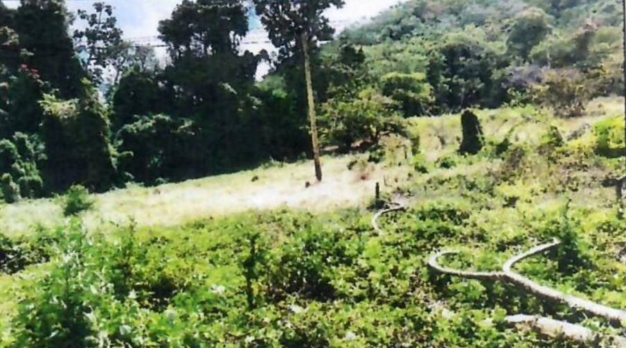 Fifth image of 1b Goshen in Goshen, St. Ann, Jamaica - property is For Sale