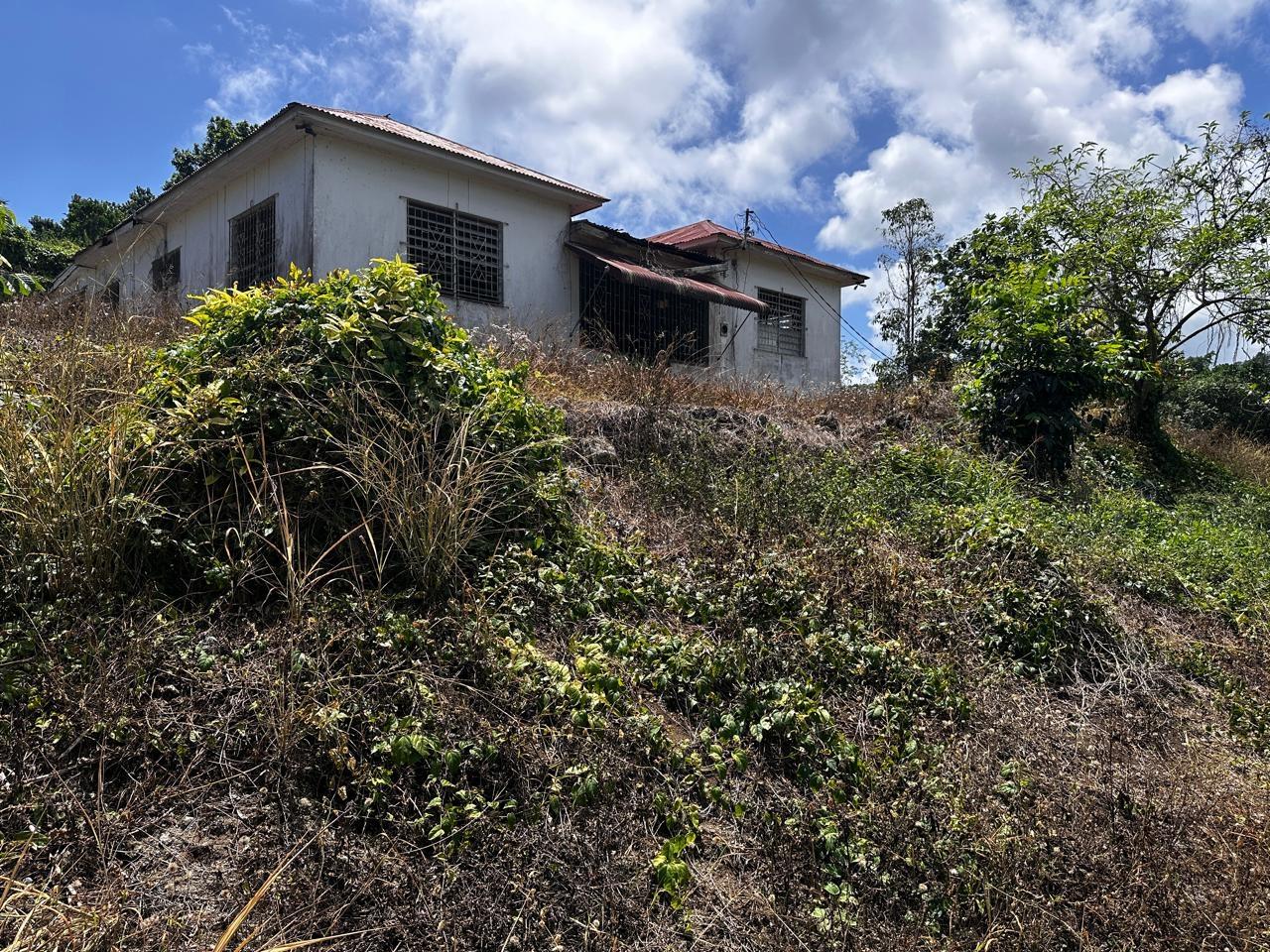 Seventh image of Fairy Hill, Portland in Port Antonio, Portland, Jamaica - property is For Sale