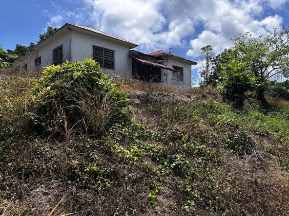 Seventh image of Fairy Hill, Portland in Port Antonio, Portland, Jamaica - property is For Sale