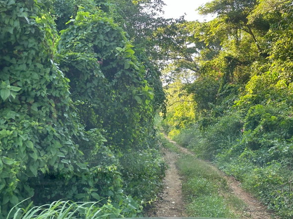 Second image of Clermont, Duncan's Bay in DUNCAN BAY, Trelawny, Jamaica - property is For Sale