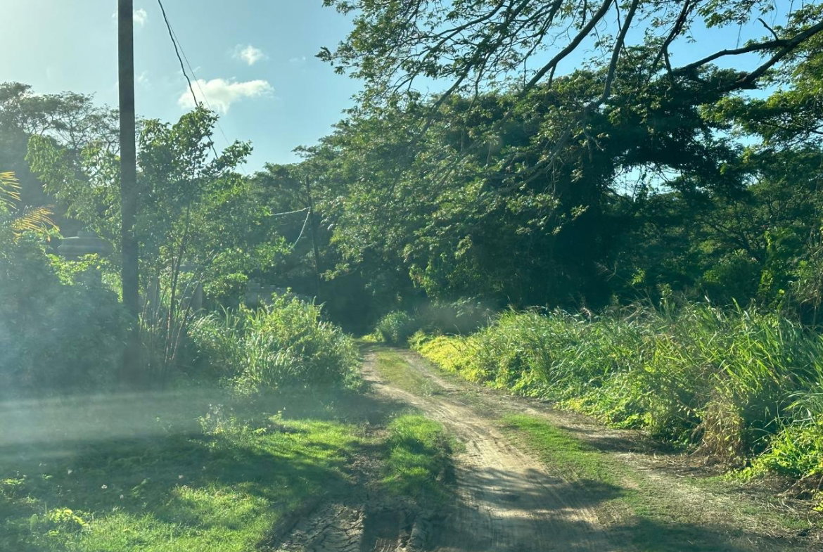 First image of Clermont, Duncan's Bay in DUNCAN BAY, Trelawny, Jamaica - property is For Sale
