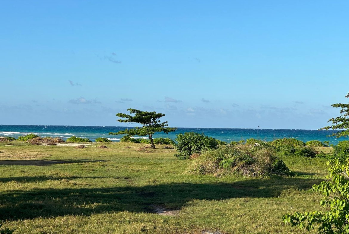 Fourteenth image of Clermont, Duncan's Bay in DUNCAN BAY, Trelawny, Jamaica - property is For Sale