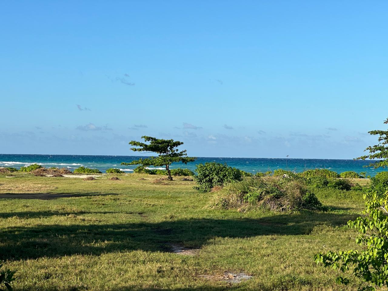 Prime-1.88-Acres-Residential-Land-for-Sale-in-Duncans-Bay-Jamaica Fourteenth image of Clermont, Duncan's Bay in DUNCAN BAY, Trelawny, Jamaica - property is For Sale