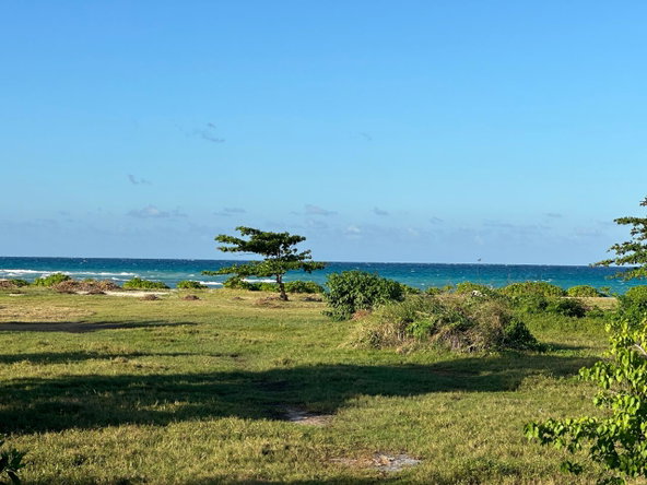 Fourteenth image of Clermont, Duncan's Bay in DUNCAN BAY, Trelawny, Jamaica - property is For Sale