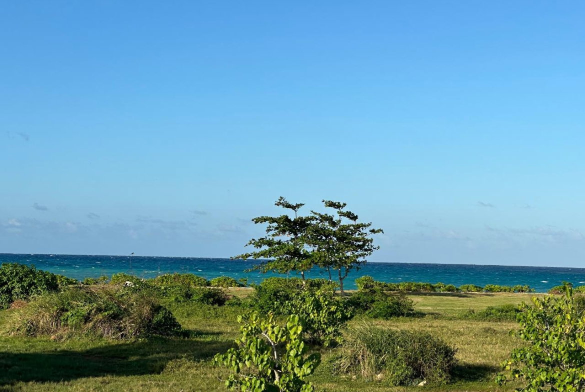 Fifteenth image of Clermont, Duncan's Bay in DUNCAN BAY, Trelawny, Jamaica - property is For Sale