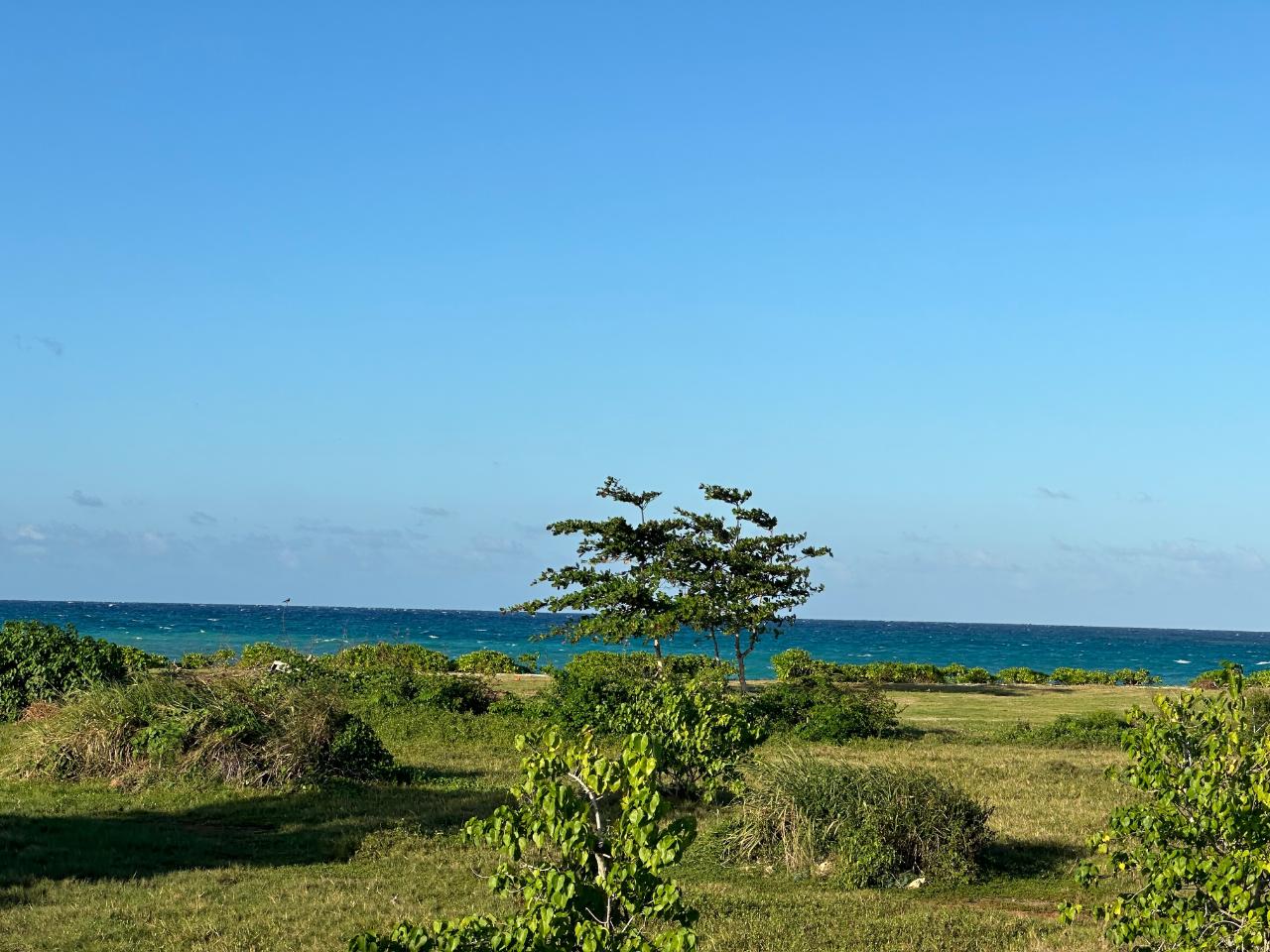 Prime-1.88-Acres-Residential-Land-for-Sale-in-Duncans-Bay-Jamaica Fifteenth image of Clermont, Duncan's Bay in DUNCAN BAY, Trelawny, Jamaica - property is For Sale