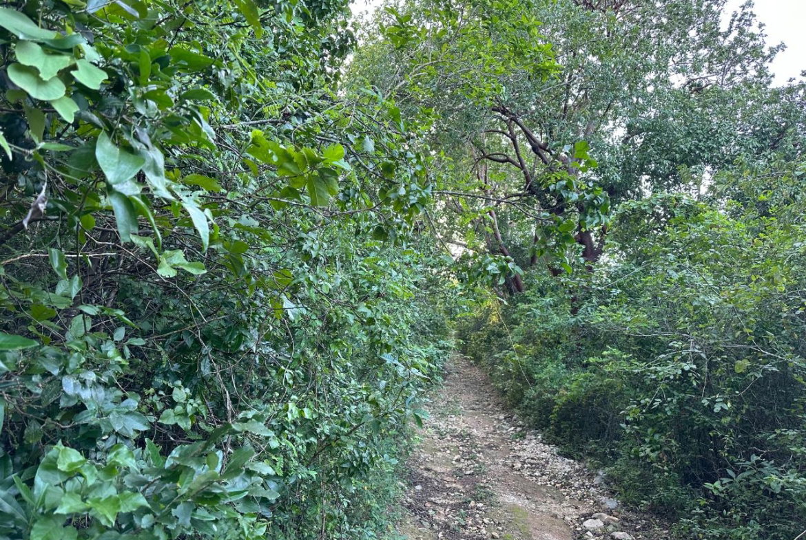 Fifth image of Clermont, Duncan's Bay in DUNCAN BAY, Trelawny, Jamaica - property is For Sale