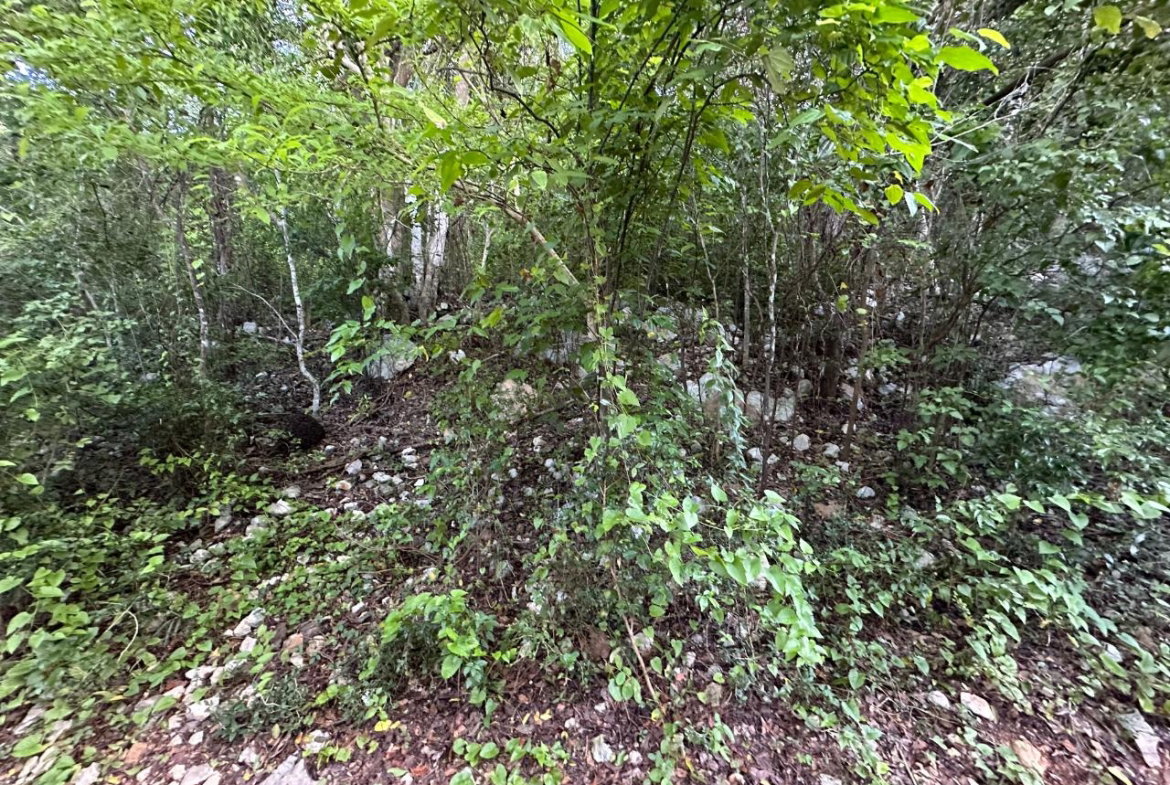 Seventh image of Clermont, Duncan's Bay in DUNCAN BAY, Trelawny, Jamaica - property is For Sale