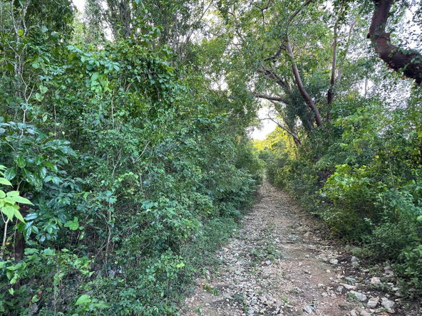 Tenth image of Clermont, Duncan's Bay in DUNCAN BAY, Trelawny, Jamaica - property is For Sale