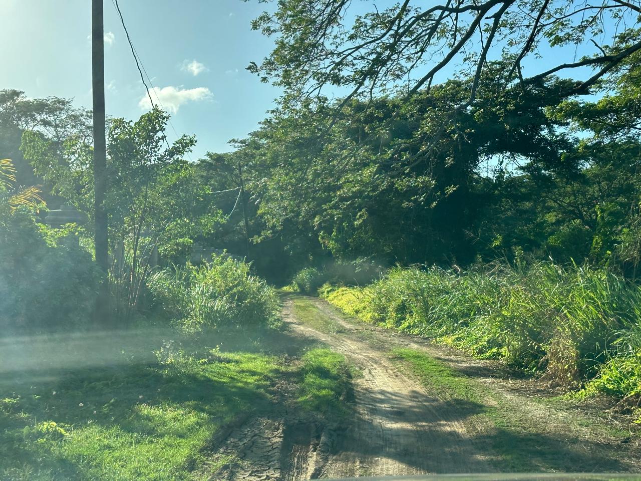 Prime-1.88-Acres-Residential-Land-for-Sale-in-Duncans-Bay-Jamaica First image of Clermont, Duncan's Bay in DUNCAN BAY, Trelawny, Jamaica - property is For Sale