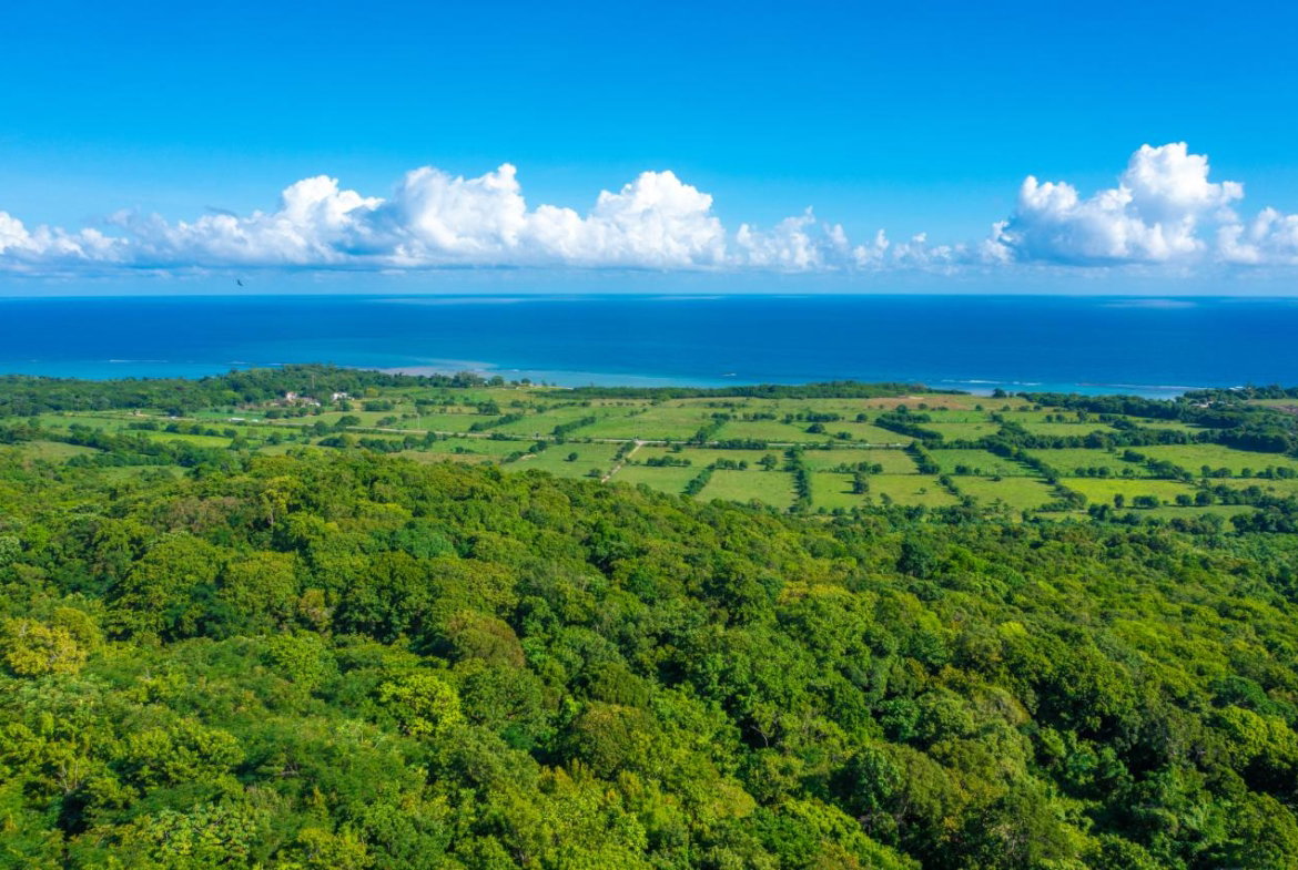 Second image of Cranbrook Pen Saint Ann in Laughlands, St. Ann, Jamaica - property is For Sale