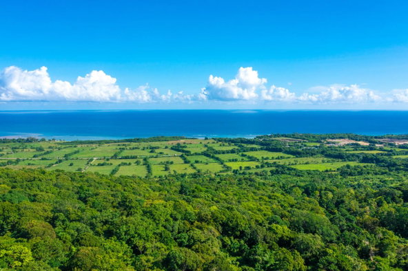 Third image of Cranbrook Pen Saint Ann in Laughlands, St. Ann, Jamaica - property is For Sale