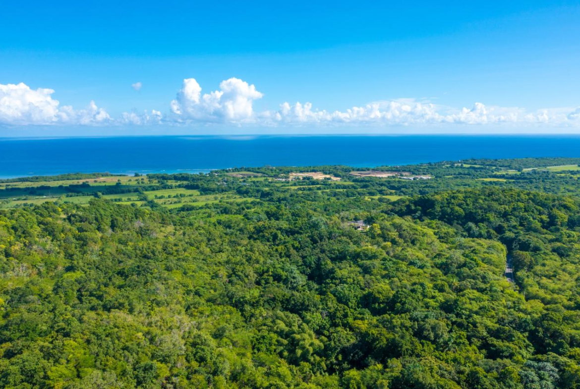 Sixth image of Cranbrook Pen Saint Ann in Laughlands, St. Ann, Jamaica - property is For Sale