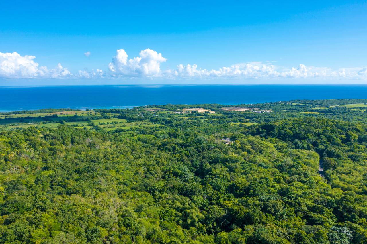Sixth image of Cranbrook Pen Saint Ann in Laughlands, St. Ann, Jamaica - property is For Sale