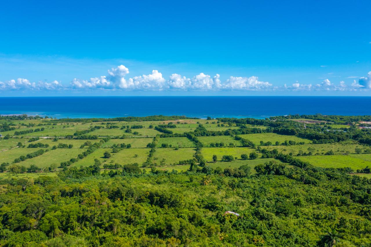 Eighth image of Cranbrook Pen Saint Ann in Laughlands, St. Ann, Jamaica - property is For Sale