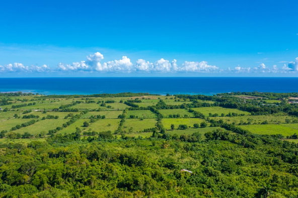 Eighth image of Cranbrook Pen Saint Ann in Laughlands, St. Ann, Jamaica - property is For Sale