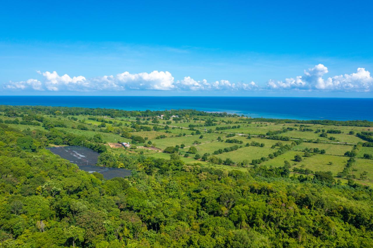 Ninth image of Cranbrook Pen Saint Ann in Laughlands, St. Ann, Jamaica - property is For Sale