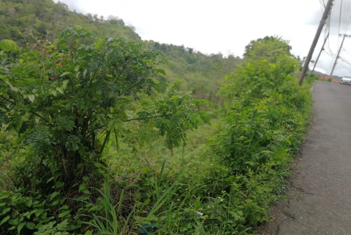 Second image of Lot 6b Old Stony Hill Road, Ston in STONY HILL, St. Andrew, Jamaica - property is For Sale