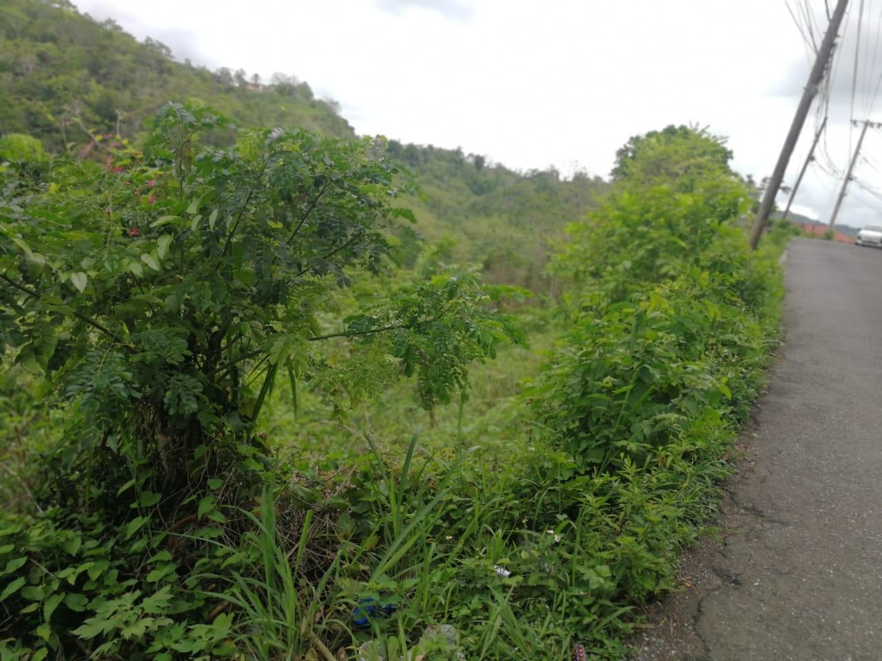 Second image of Lot 6b Old Stony Hill Road, Ston in STONY HILL, St. Andrew, Jamaica - property is For Sale