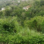 First image of Lot 6b Old Stony Hill Road, Ston in STONY HILL, St. Andrew, Jamaica - property is For Sale