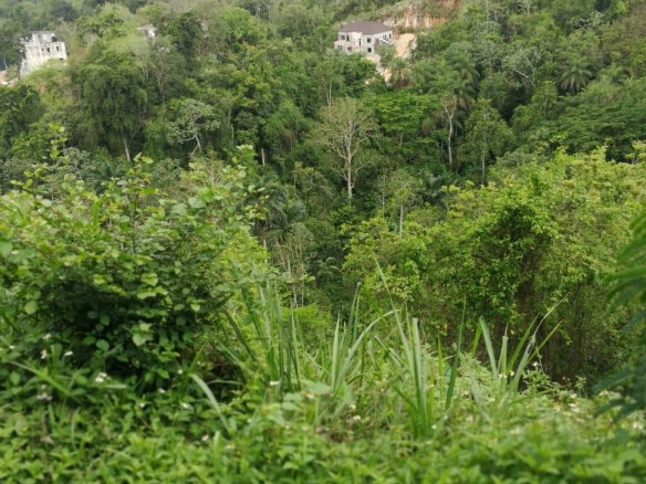 First image of Lot 6b Old Stony Hill Road, Ston in STONY HILL, St. Andrew, Jamaica - property is For Sale