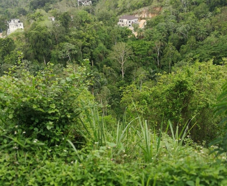 First image of Lot 6b Old Stony Hill Road, Ston in STONY HILL, St. Andrew, Jamaica - property is For Sale