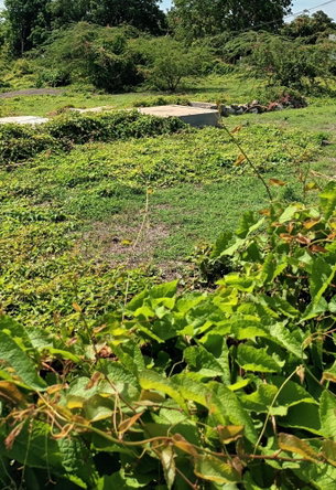 Second image of Hayes Main Road in Hayes, Clarendon, Jamaica - property is For Sale